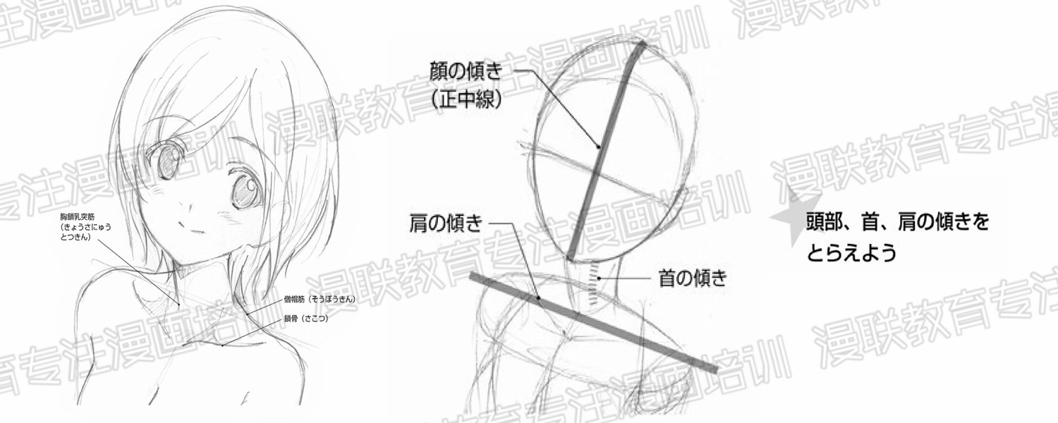 漫画角色的绘制技巧?根据颈部倾斜表现角色心情!