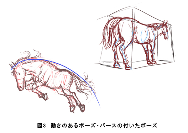 马的基础绘制方法！