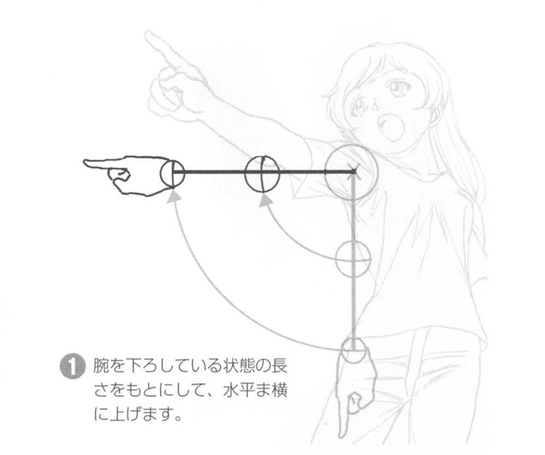 【基础】手臂胳膊的绘制技巧方法的范例！