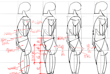 「素材」绘画专用人体解剖系列素材 pare 08-漫画培训-零基础学漫画-漫画培训班