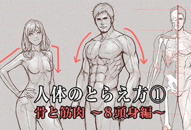 如何正确掌握绘画人体结构？（上篇）