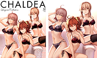 「素材」CHALDEA Lingerie Collection Vol.1