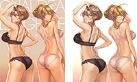 「素材」CHALDEA Lingerie Collection Vol.2
