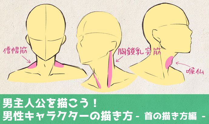 男性角色的脖子的画法！