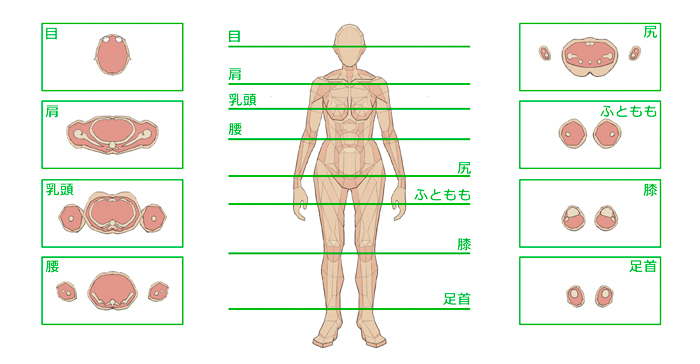 漫画中绘制人体的要点是什么?