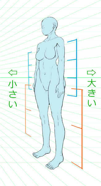 漫画中绘制人体的要点是什么?