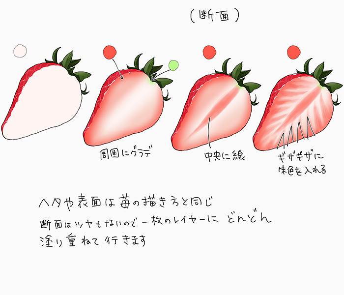 草莓果实的组成结构图图片