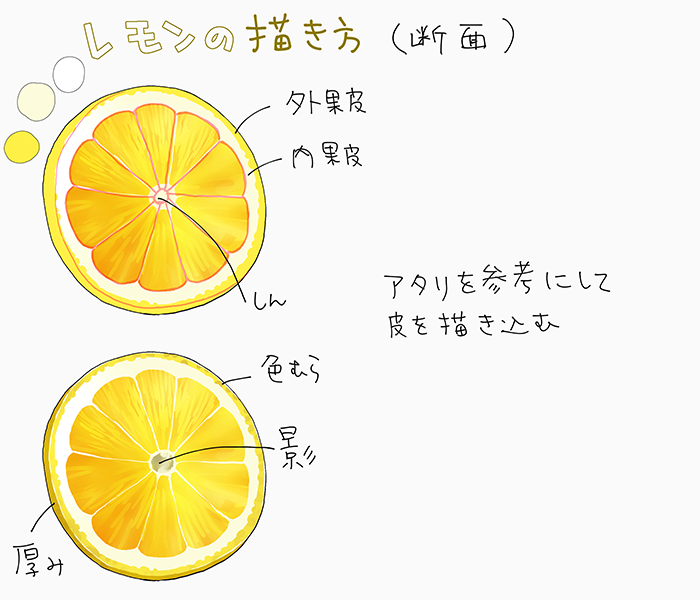 水果中柠檬的画法！