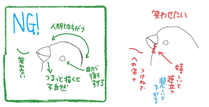 鸟的特点画法讲解!
