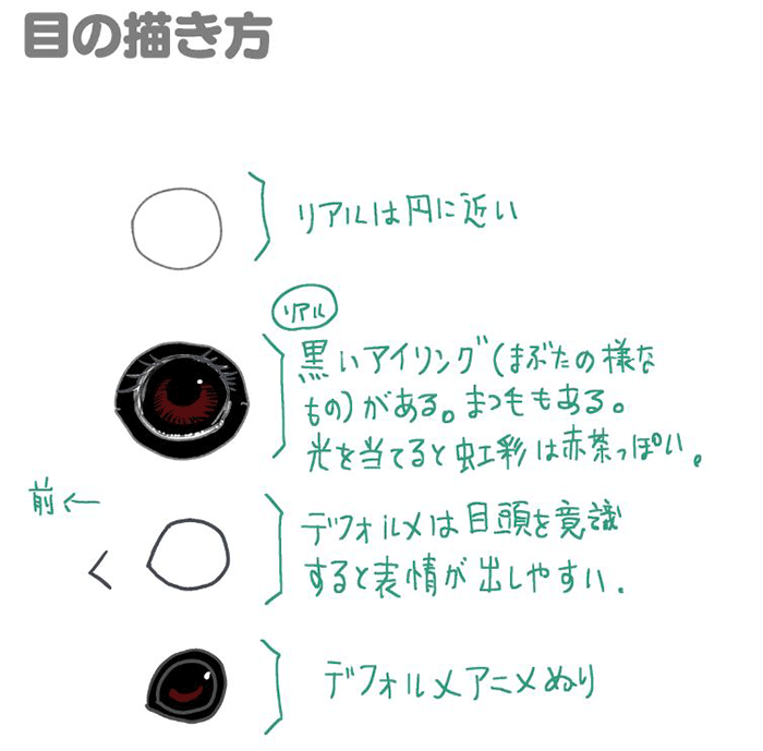 鸟的特点画法讲解!