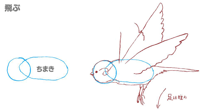 鸟的各种姿势的画法!