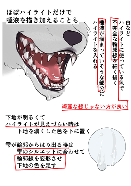 如何绘制食肉动物的嘴?