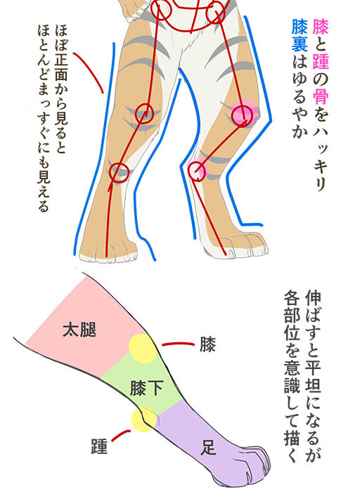 野兽的绘制方法!