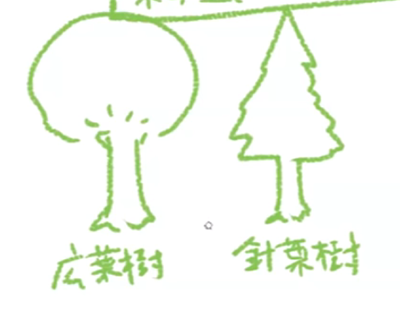 如何绘制记住阔叶树?