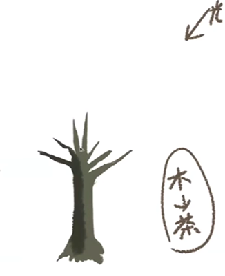 如何绘制记住阔叶树?