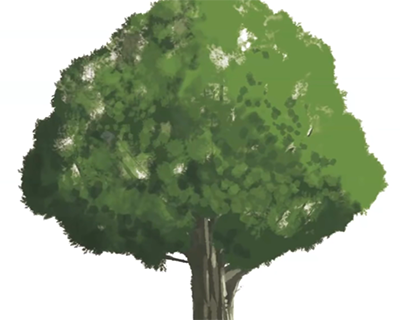 如何绘制记住阔叶树?