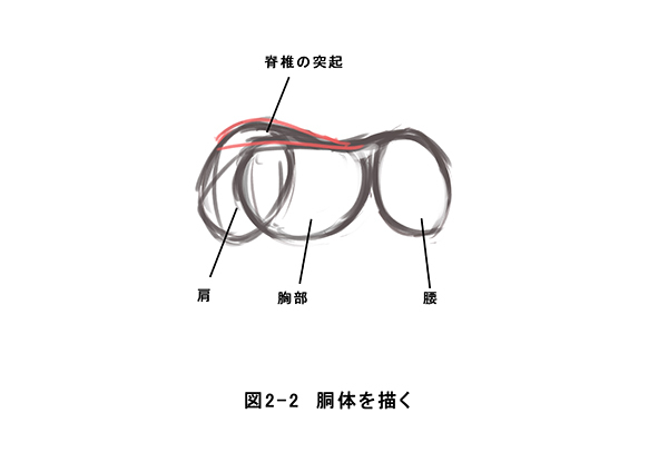 马的基础绘制方法!