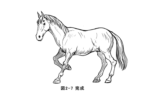 马的基础绘制方法!