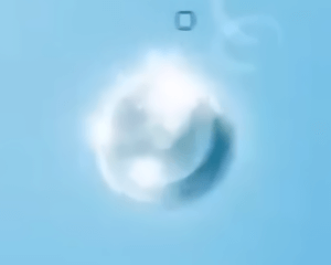 水中的画法?