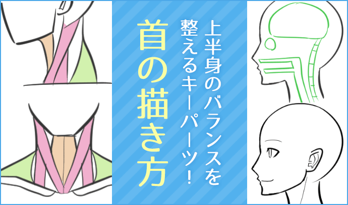 脖子的绘画方法技巧！