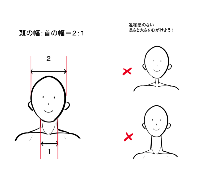 脖子的绘画方法技巧!