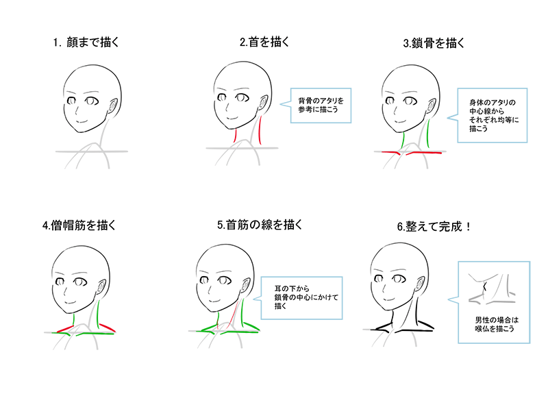 脖子的绘画方法技巧!