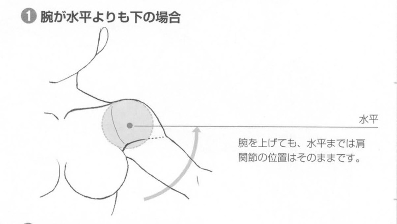 【基础】手臂胳膊的绘制技巧方法!