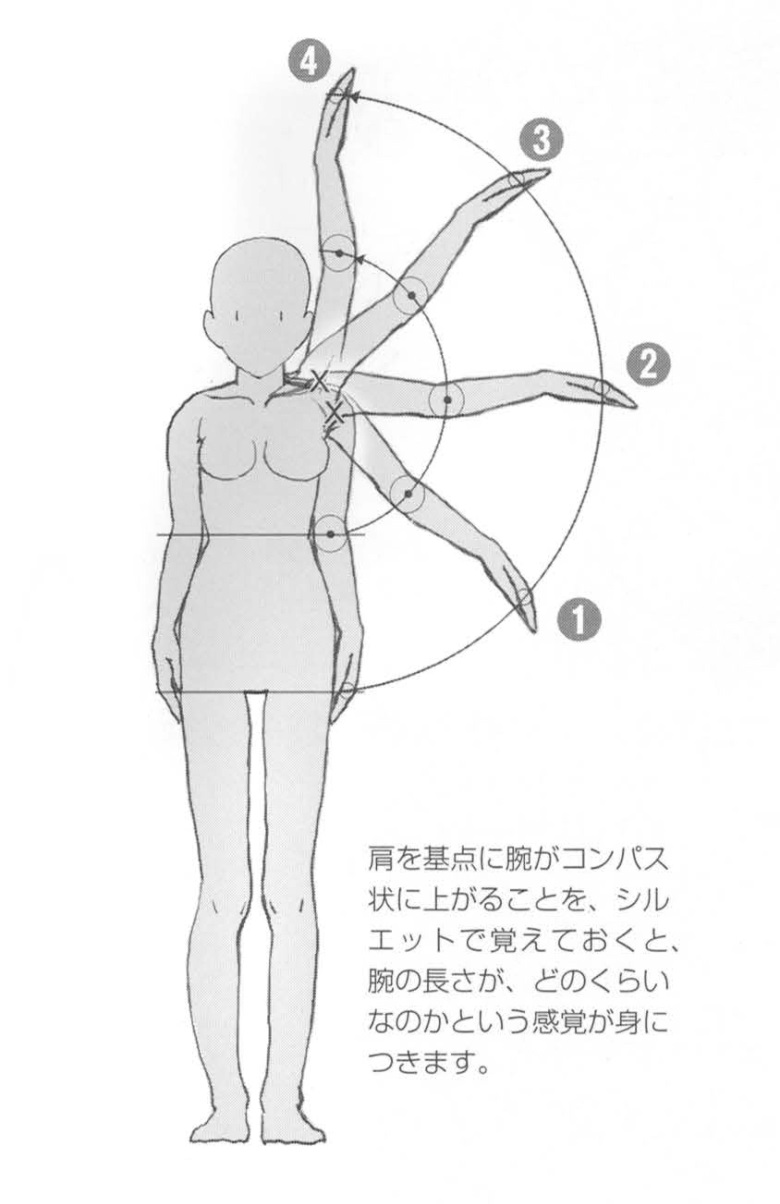 【基础】手臂胳膊的绘制技巧方法!