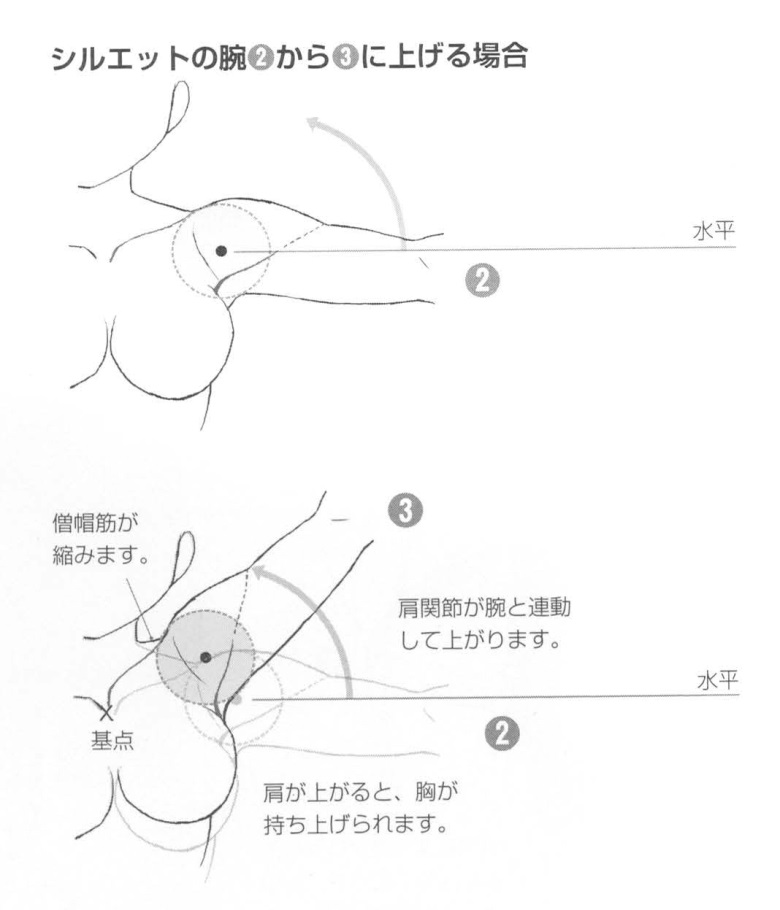 【基础】手臂胳膊的绘制技巧方法!