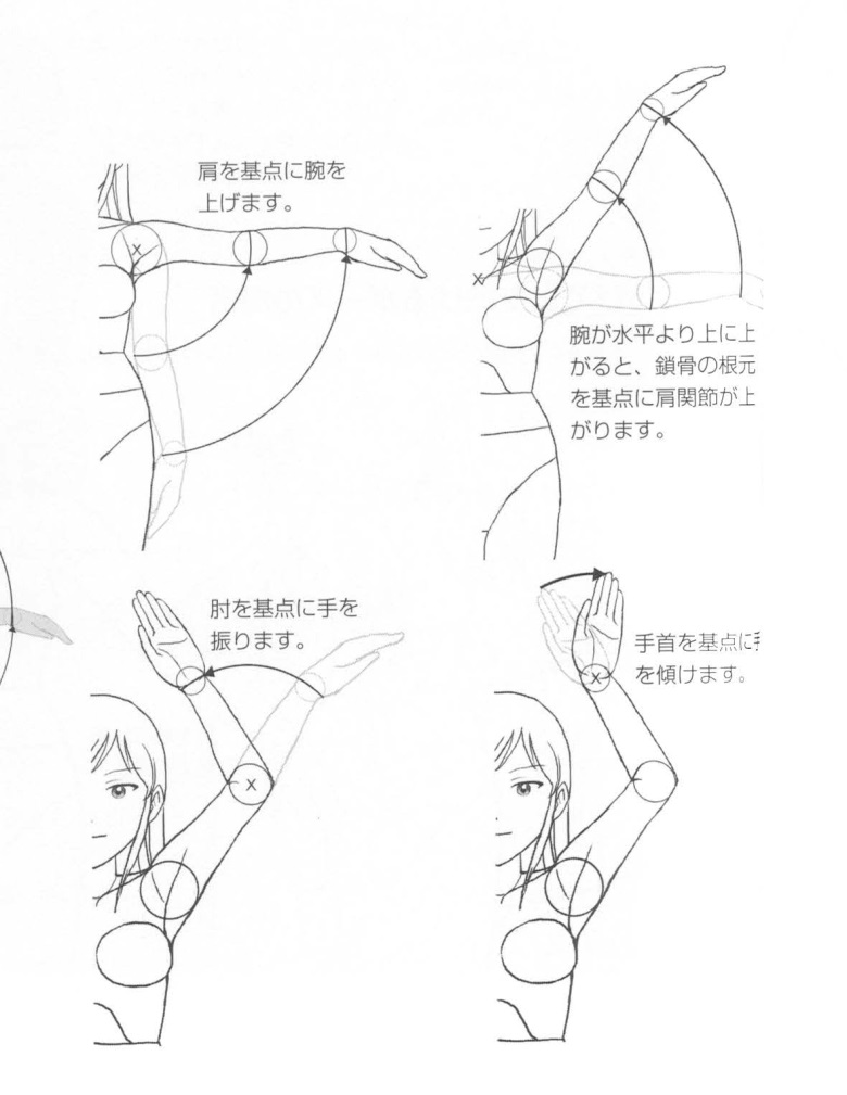 【基础】手臂胳膊的绘制技巧方法!