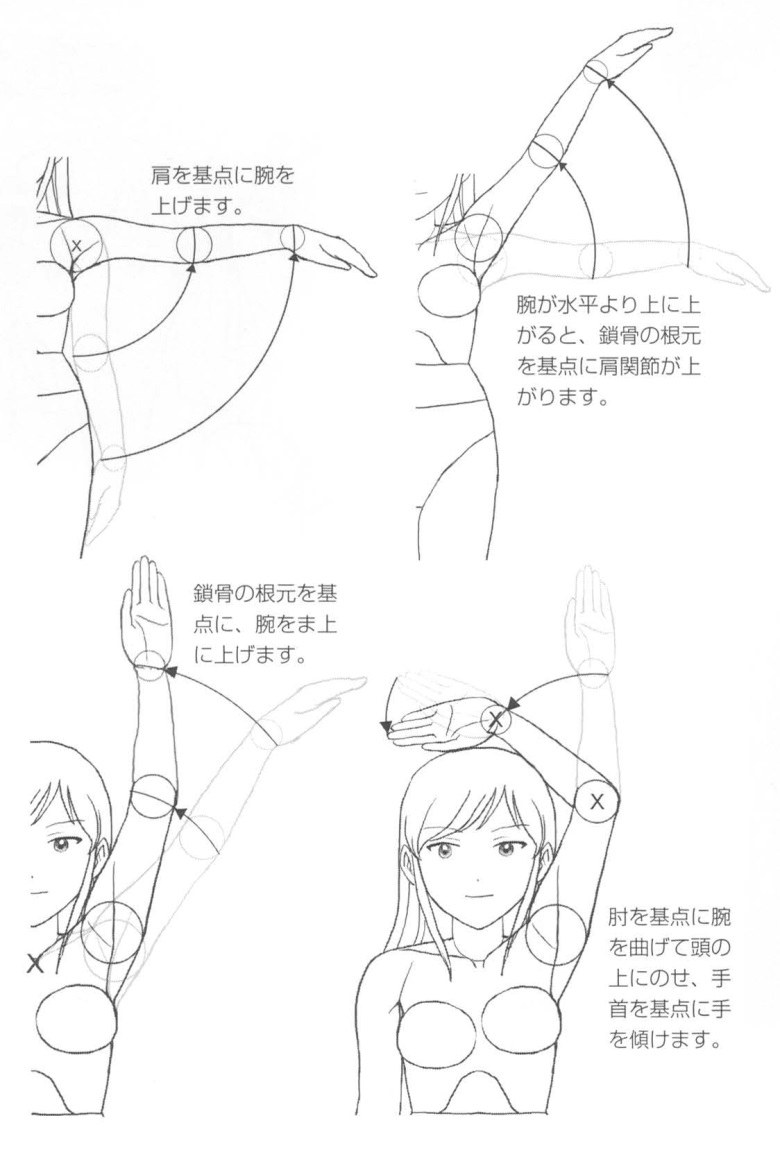 【基础】手臂胳膊的绘制技巧方法!