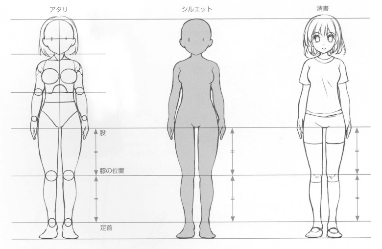 【基础】腿、膝盖和脚踝之间的平衡学习!