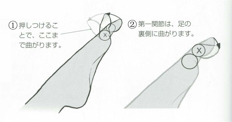 【基础】弯曲脚趾姿势的绘制!